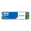 SMART_CS310_SATA_M2_2280_Industrial_SSD