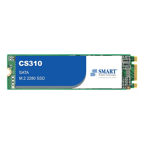 CS310 | SATA | M.2 2280 SSD