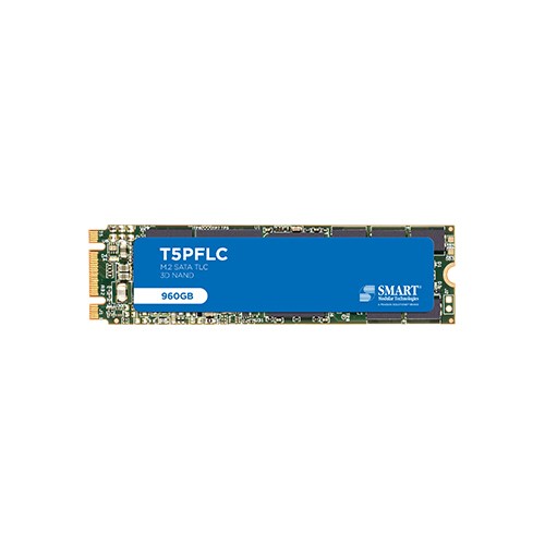 T5PFLC M.2 2280 SATA SSD