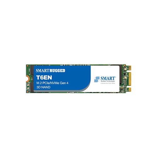 T6EN M.2 2280 PCIe NVMe SSD